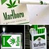 tutup_botol201
