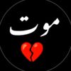 hamza.ali.ansari.804