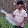 md.mizan5772