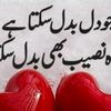 haiderajmal22