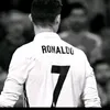 alawe_amer7