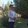 bo_fares22