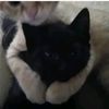 rossy.richard