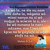 user6083861010076