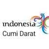 pesonainnovadiesel