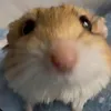 kasti______