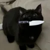 dinarwwwfzh