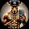 ivanflores12684