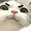 quangtqtk