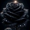 cecilia39668