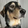 scampslife
