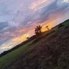 eumanuparaense4