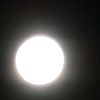 myowin.myint