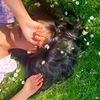 sanem_joya