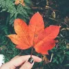 🐾 Trạm Cảm Xúc 🌿