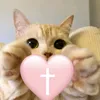 sarahpeacevincent