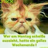 dieter.dieter10