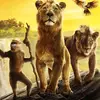 awais72770