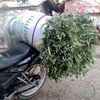 herimustopa30