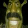 shrek_dihrider132e6563