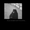 z_313_z_n