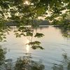 yara_7638h