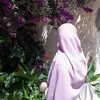 wafadailybiz