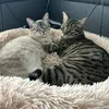 lespoupouts