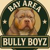 bayareabullyboyz