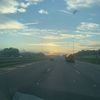lizzy_bear43