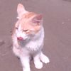 farelalamsyah96