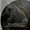 user622181