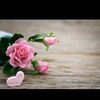 user461168304163