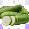 cikwa_22