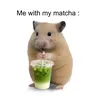 dumpnisikips