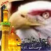 user94426988662