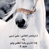 ammae539