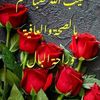 user8513571498573