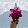 dev_88888