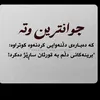shara.wahab