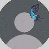 ._sor7