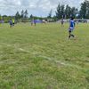 pedrobolso8