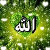 ahmedhmdy0171