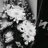 ◦•●◉✿alesss_zah🧚‍♀️