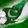 mm.hashmi7