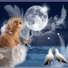 angele.negrier