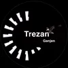 trezan31