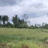 adawiyah0487