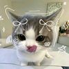 zraa._.imupp