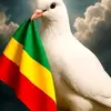birhanuabebe84